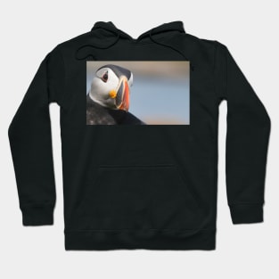 The Puffin Hoodie